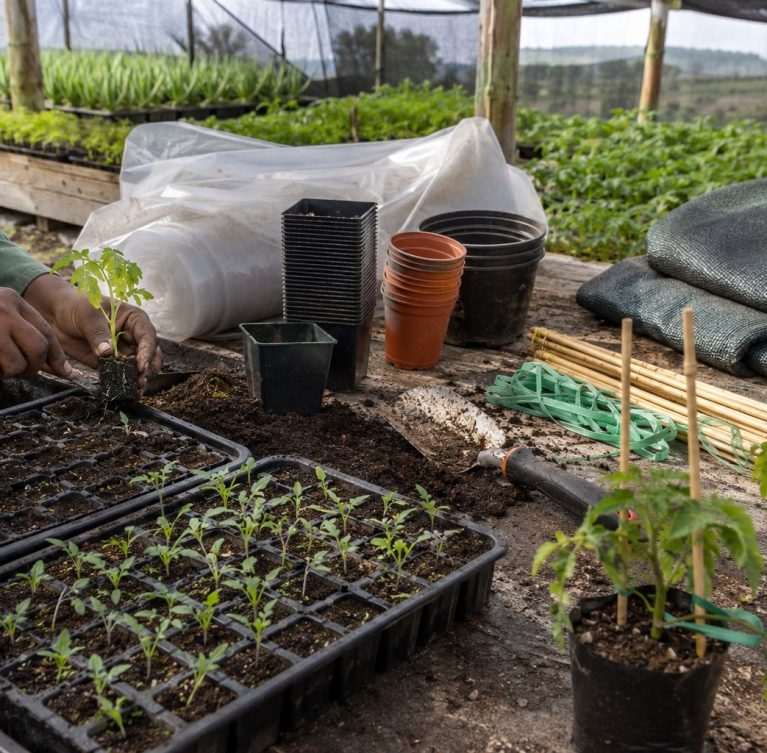 Wendell Berry said it best when he said that “eating is an agricultural act.” Our mission is to change the food system by providing a healthy, fresh alternative to industrial food.